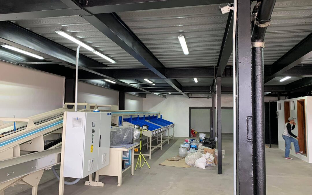 Bodega Mercado de Abastos GDL